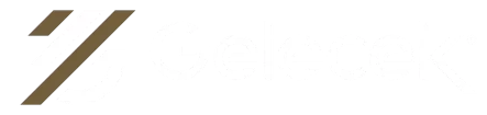 Gelecek Otomotiv