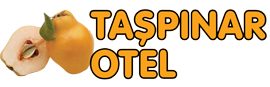 Geyve Otel